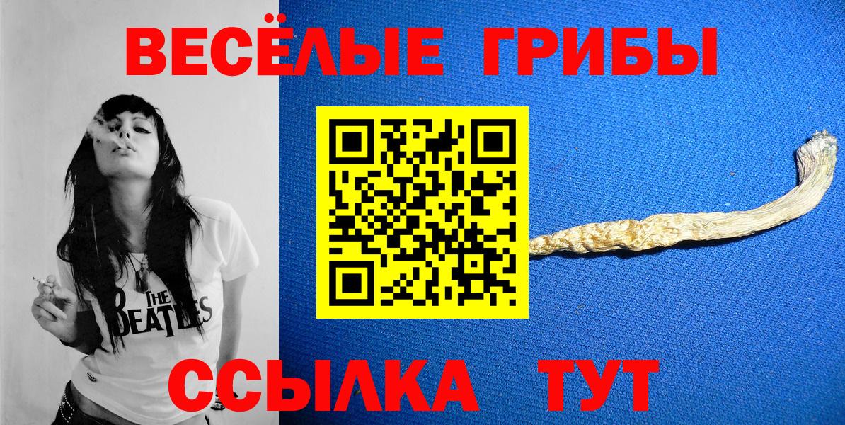 Камышлов  Галлюциногенные грибы Psilocybine cubensis  Вход с VPN 